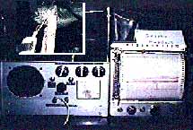 plant psychogalvometer to detect botanical feelings